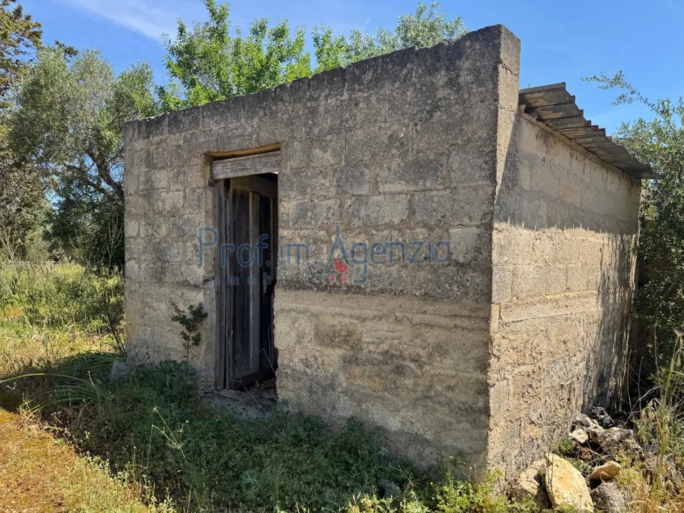 Helårsgrund i San Vito dei Normanni, Brindisi - foto 3